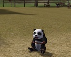 Bao Bao siedzi