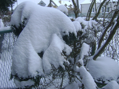 Marcowe śnieżyce w Dęblinie (16.03.2013r.)