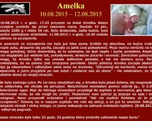 45. Amelka (10.08.2015 – 12.08.2015)