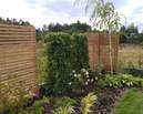 Drewniane trejaże i panele z bluszczu osłaniają ogród od strony sąsiadów