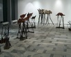 "Ptaki" Galeria Sztuki Współczesnej w Opolu, 2007