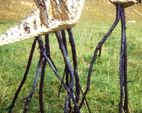 "Ptaki kroczące", 1994, rzeźba ceramiczna, gałęzie; Sympozjum Kienitz/Niemcy