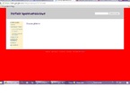 Społeczności internetowe. Portale społecznościowe jako zjawisko globalne. 