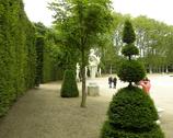 Ogrody pałacowe