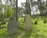 Kruszyniany - cmentarz tatarski