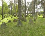 Kruszyniany - cmentarz tatarski