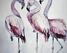 	Flamingi Akwarela rozmiar 30/40 nr 2020/44 /sprzedane	