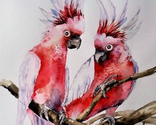 Papugi--Akwarela rozmiar 30/40 nr 2020/46 /sprzedany