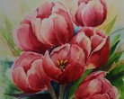 Tulipany-Akwarela rozmiar 24/32 nr 2021/27 / cena 80zl	