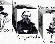 In Memoriam Krzysztofa Kmiecia/Op.176, 70x110