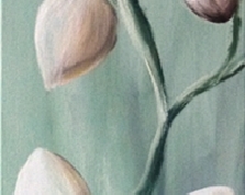 Kwitnące magnolie , 100x20, 02.03.2015r.