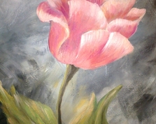 Sweet tulipan, 60x40,25.03.2015r.