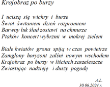 Krajobraz po burzy