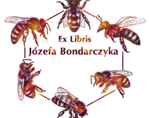 Op. 337.  Exlibris Józefa  Bondarczyka