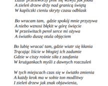 Siła z zaufania 