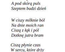 Święta cisza 