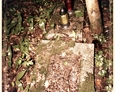 Ewangelicki cmentarz w Czarnej Dąbrówce