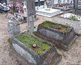 Teren cmentarza w Strzepczu