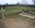 Teren przykościelnego cmentarza w Domaradzu [widoczne drewniane krzyże]