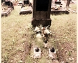 Cmentarz w Kozinie - jeden z najstarszych niemieckich nagrobków