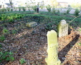 Teren nieistniejącego cmentarza w Sąpolnie