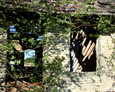 Ruiny domu w Dzięcielcu