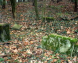 Zdewastowane nagrobki na ewangelickim cmentarzu w Niebędzinie