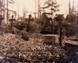 Żeliwne krzyże na cmentarzu