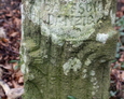 Fragment kamiennego postumentu w kształcie pnia drzewa z widoczną sygnaturą jego twórcy
