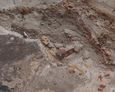 Wykopaliska archeologiczne w „Starej Łebie” (zdj. Internet)