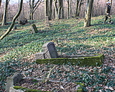 Ogólny widok na cmentarz