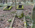 Mogiły na cmentarzu w Bychowie