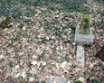 Teren ewangelickiego cmentarza w Perlinie