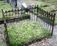 Zachowane żeliwne ogrodzenia nagrobne