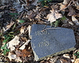 Części zniszczonego nagrobka/widoczna data narodzin i śmierci osoby tam pochowanej