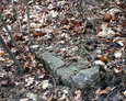 Nieliczne pozostałości po dawnym cmentarzu