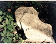 Fragmenty płyt nagrobnych na terenie dawnego kirkutu w Lęborku