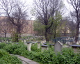 Ogólny widok na teren cmentarza Remuh w Krakowie