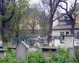 Macewy na żydowskim cmentarzu Remuh w Krakowie