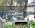 W tle widoczna część cmentarza, która poddana jest renowacji