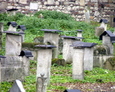 Macewy w głębszej części cmentarza