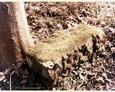 Niemiecki cmentarz w Stowięcinie