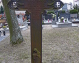 Żeliwny krzyż na terenie cmentarza przykościelnego