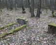 Teren ewangelickiego cmentarza w Wysokiem