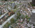 Teren ewangelickiego cmentarza w Wysokiem