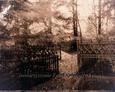 Żeliwne ogrodzenie na ewangelickim cmentarzu w Siemirowicach