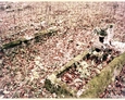 Nagrobki na cmentarzu w Oskowie