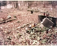 Nagrobki na cmentarzu w Oskowie