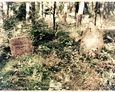 Nagrobki członków rodziny Strobell na cmentarzu w Lesiakach