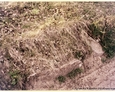 Sasino - kamienne pozostałości ogrodzenia